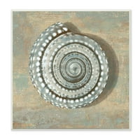 Stupell Industries Spiral Shell Beach Objects Dizajn zidne ploče Christy McKee