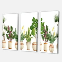 DesignArt 'Trio kućnih biljaka Sanseviera zmijske biljke na bijeloj' Farmhouse platno zidna umjetnička tiska