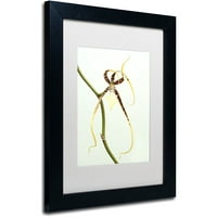 Zaštitni znak likovna umjetnost Spider Orchid Canvas Art by Kurt Shaffer, White Matte, crni okvir